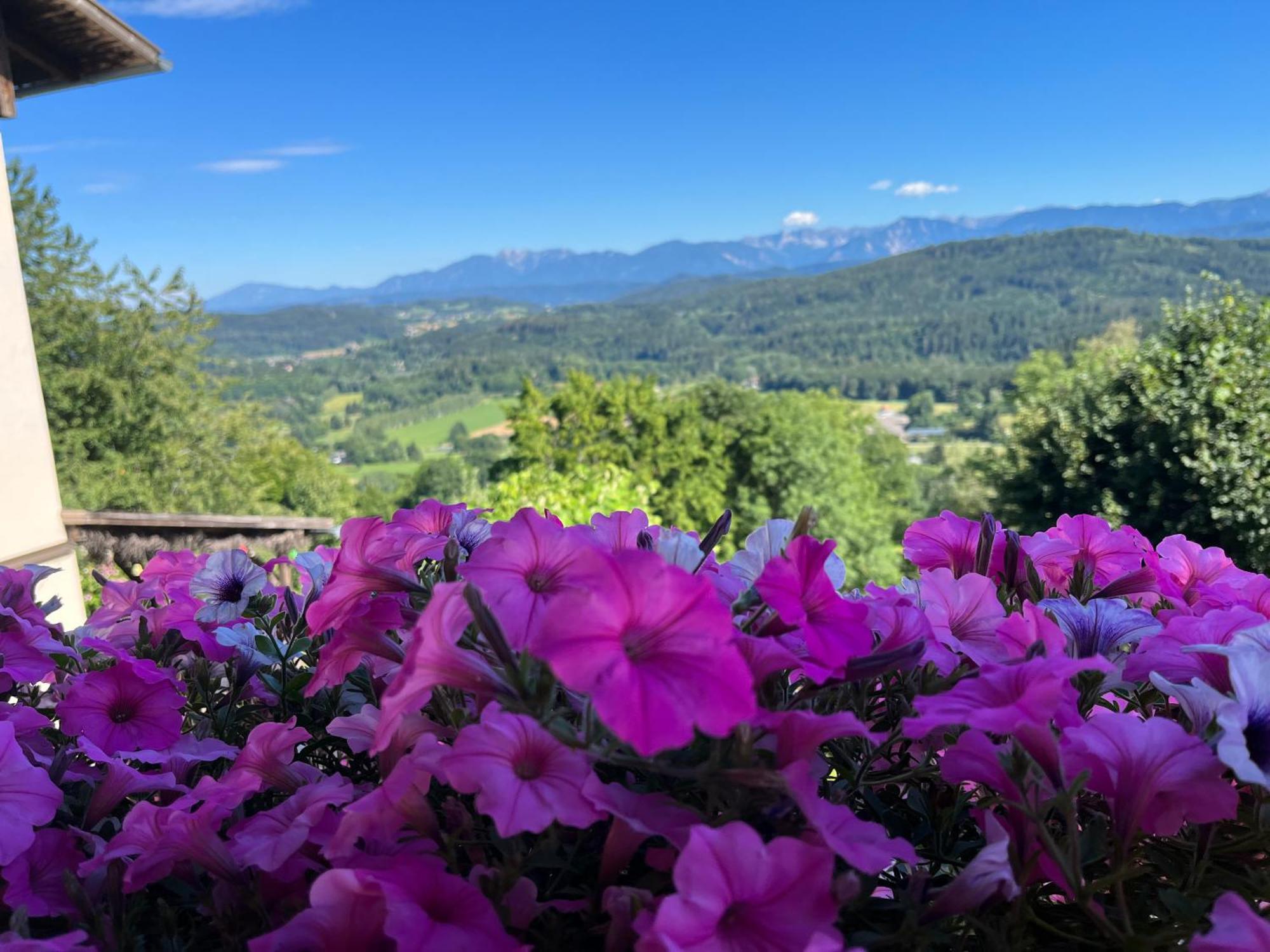 モースブルク Urlaubsbauernhof Wabnigヴィラ エクステリア 写真