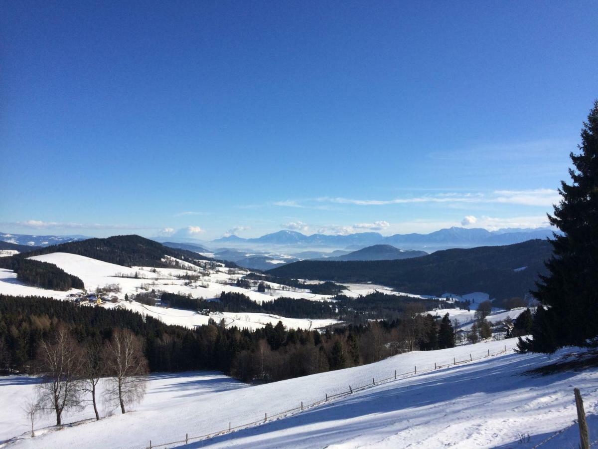 モースブルク Urlaubsbauernhof Wabnigヴィラ エクステリア 写真